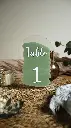Numéro de table Vert sauge et blanc